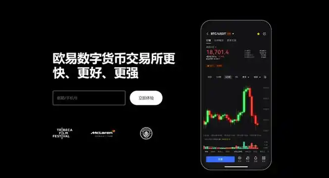 OKpay官网平台展示图